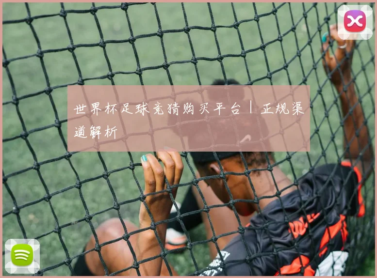 世界杯足球竞猜购买平台｜正规渠道解析