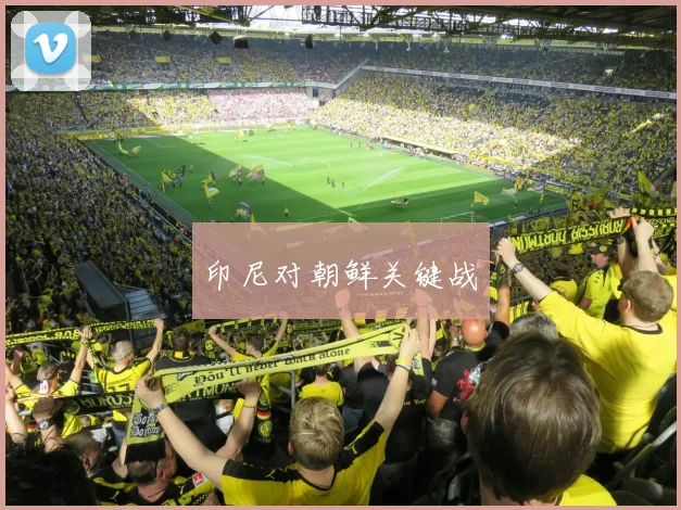 印尼对朝鲜关键战